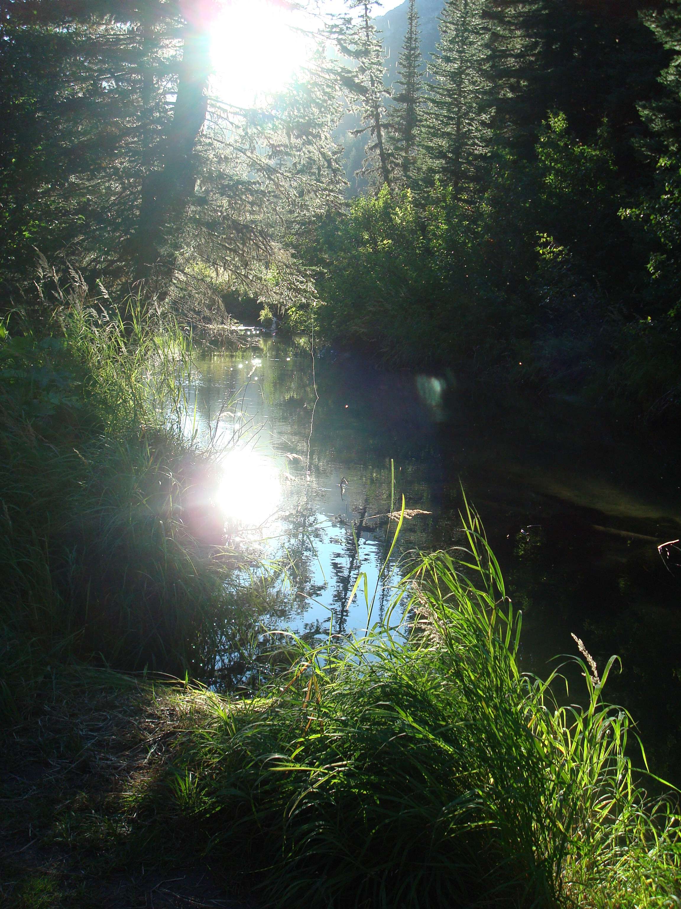 Washington Wilderness