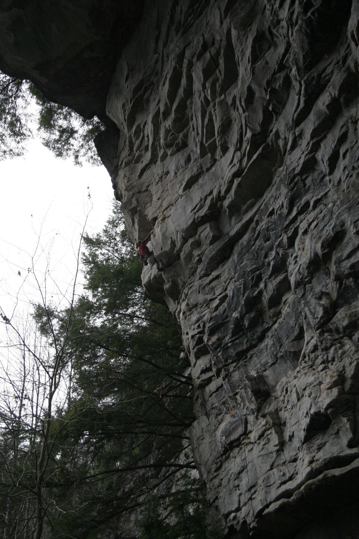 noe,l barbed wire, obed